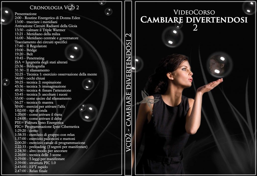 VCD2 copertina