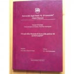 Tesi di Laurea in Psicologia interamente dedicata a zio Hack